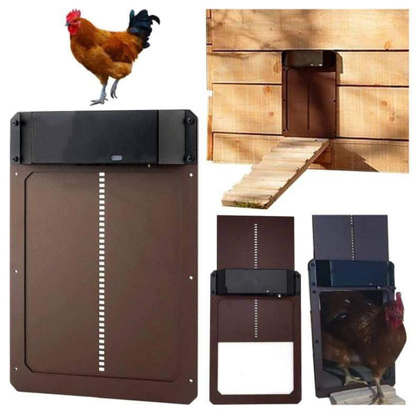 Automatic Hen House Door